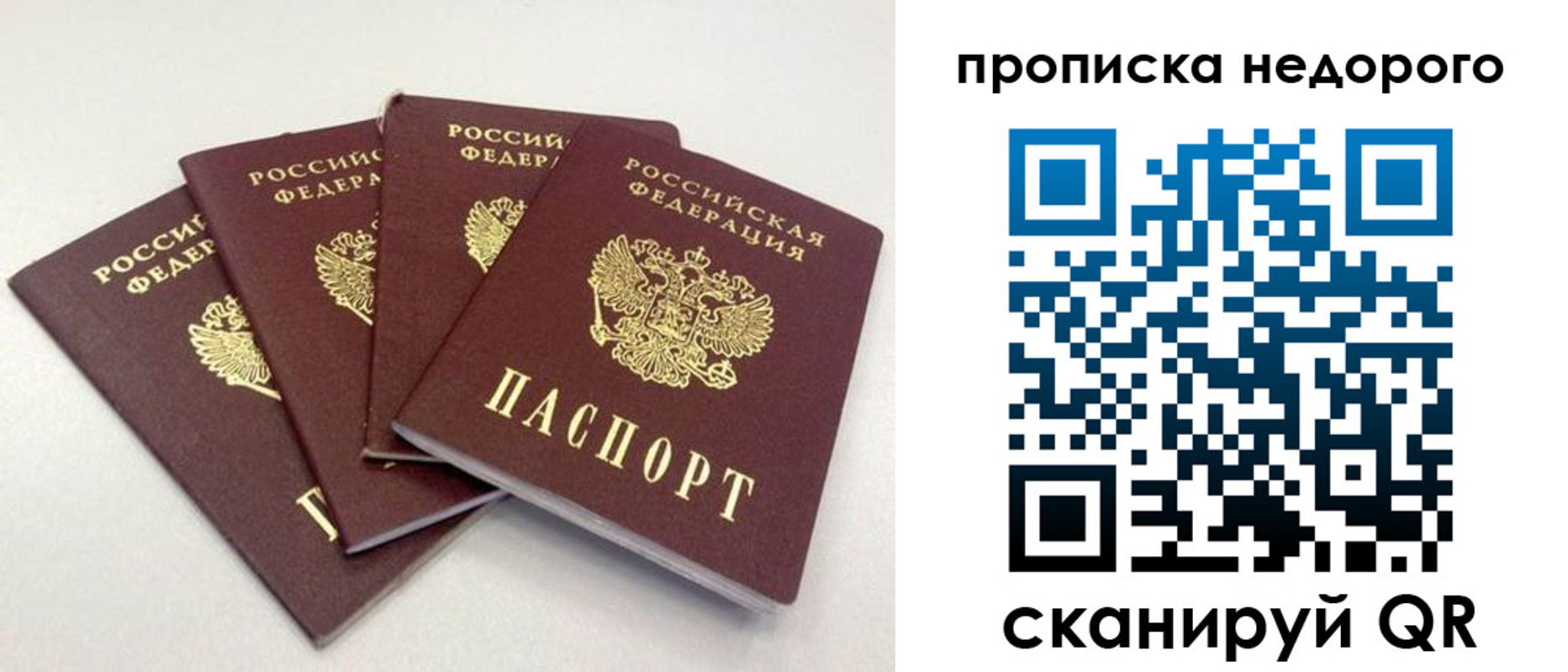 прописка законно в Тамбове